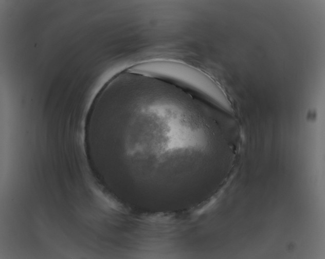X0000094900148200712131438