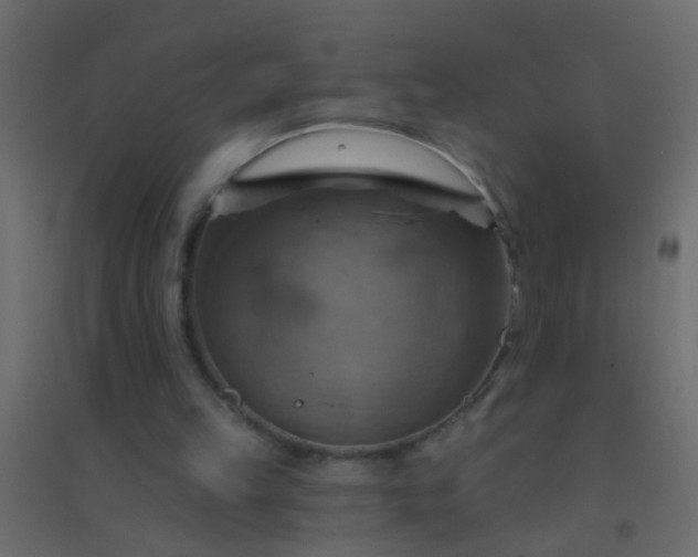 X0000094900149200712131438