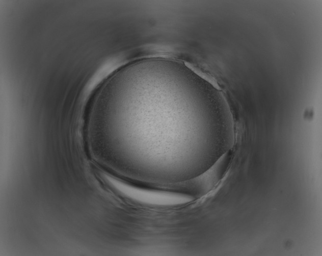 X0000094900150200712131438