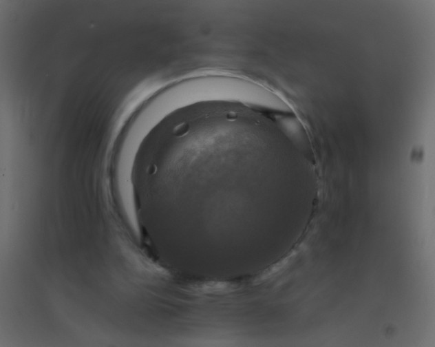 X0000094900152200712131438