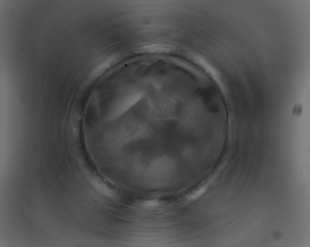 X0000094900153200712131438