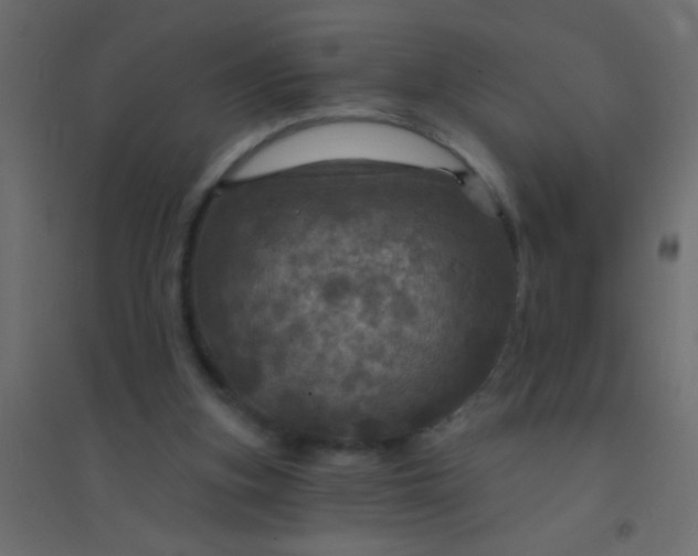 X0000094900155200712131438