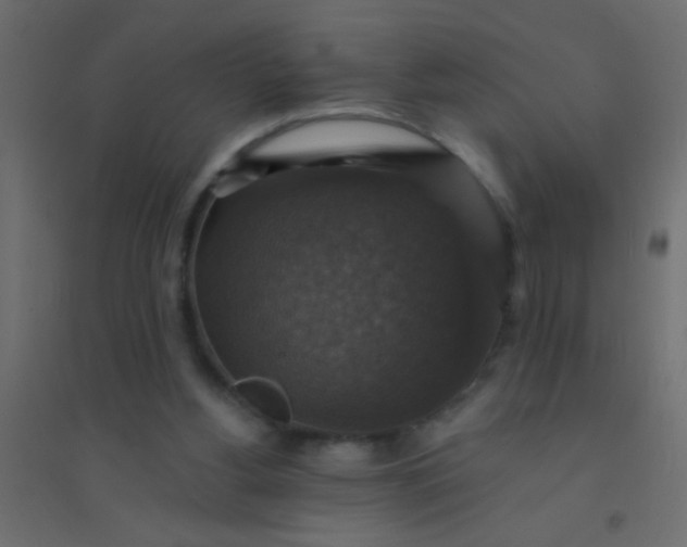 X0000094900156200712131438