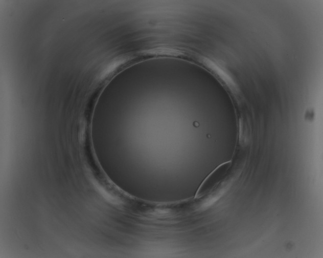 X0000094900157200712131438