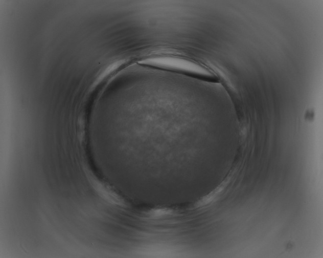 X0000094900158200712131438