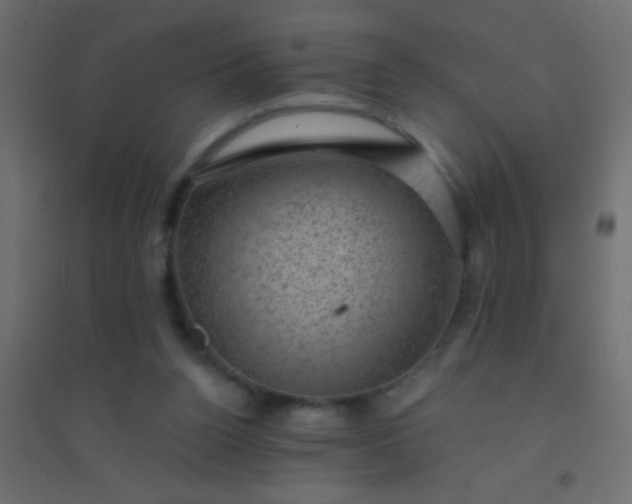 X0000094900160200712131438