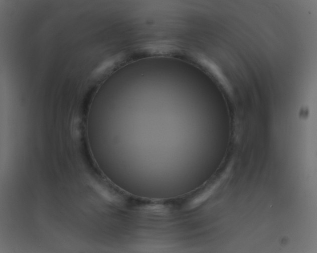 X0000094900161200712131438