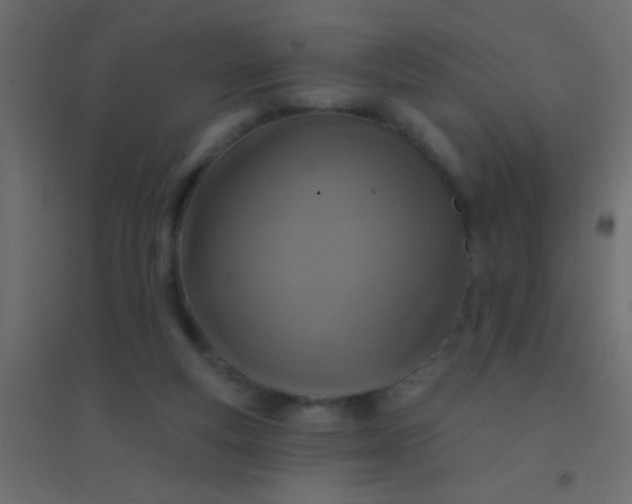 X0000094900163200712131438