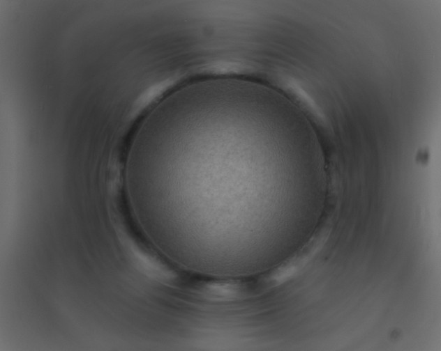 X0000094900164200712131438