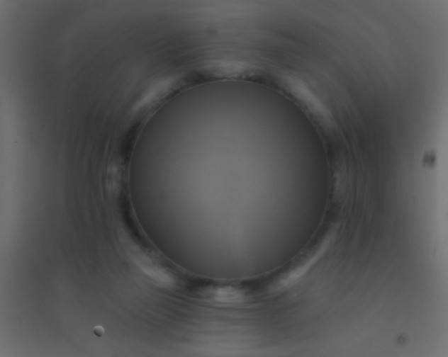 X0000094900165200712131438