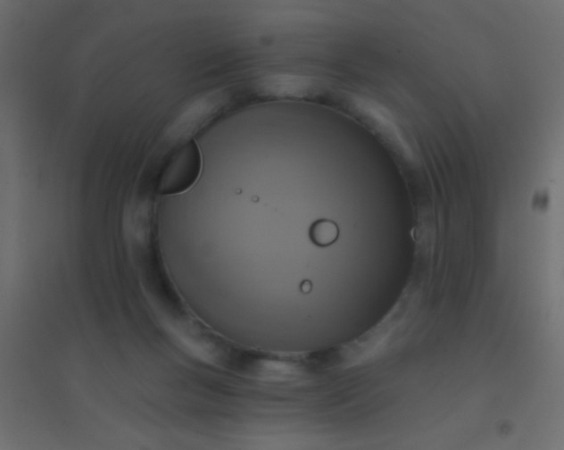 X0000094900167200712131438