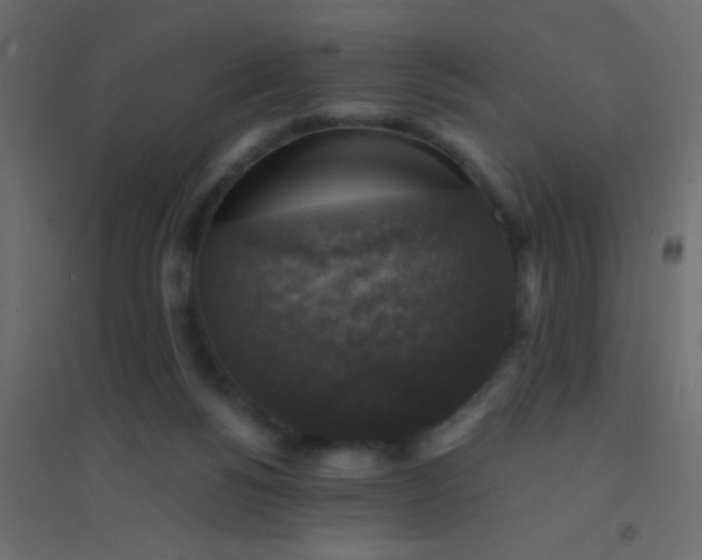 X0000094900168200712131438