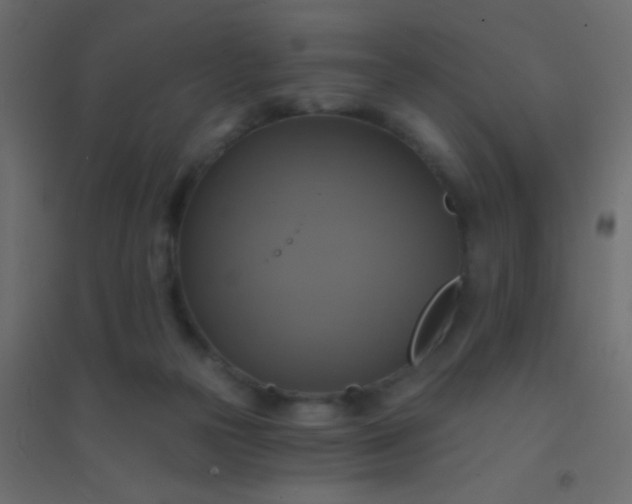 X0000094900169200712131438