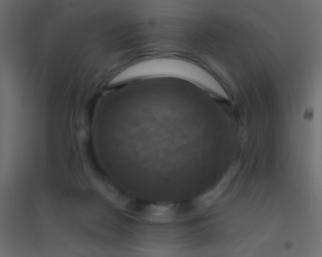 X0000094900170200712131438