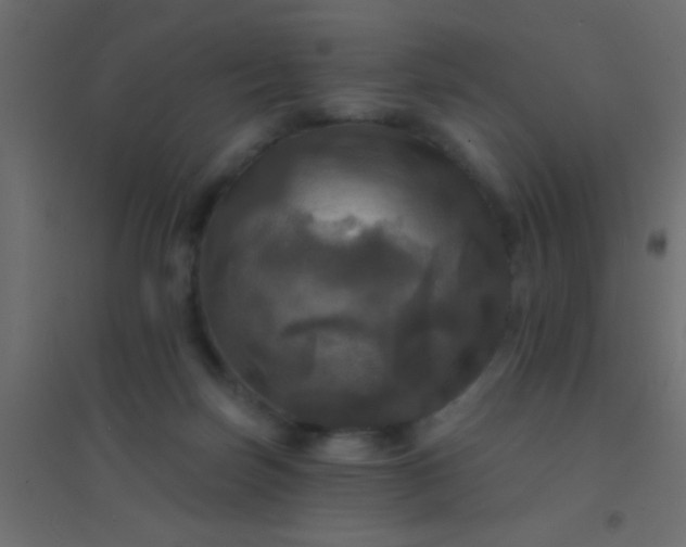 X0000094900171200712131438