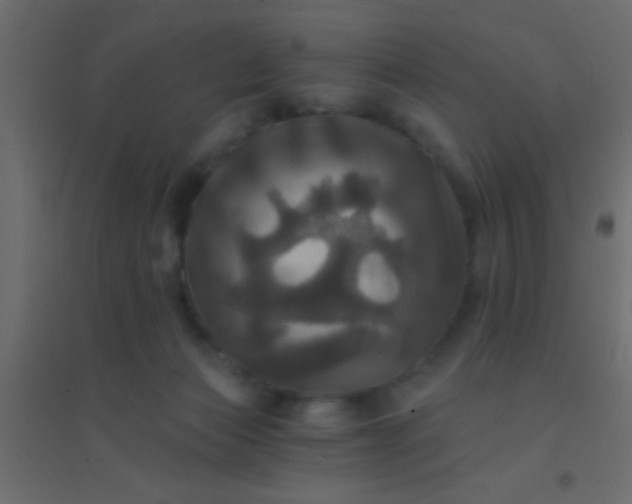 X0000094900173200712131438