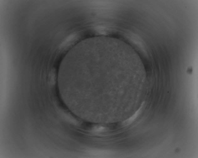 X0000094900174200712131438