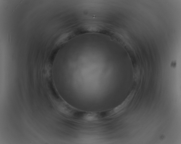 X0000094900175200712131438