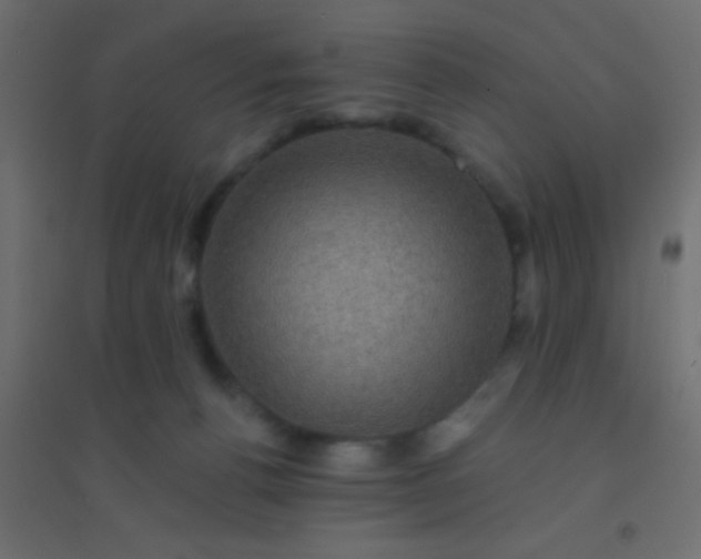 X0000094900176200712131438