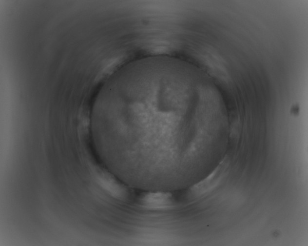 X0000094900179200712131438
