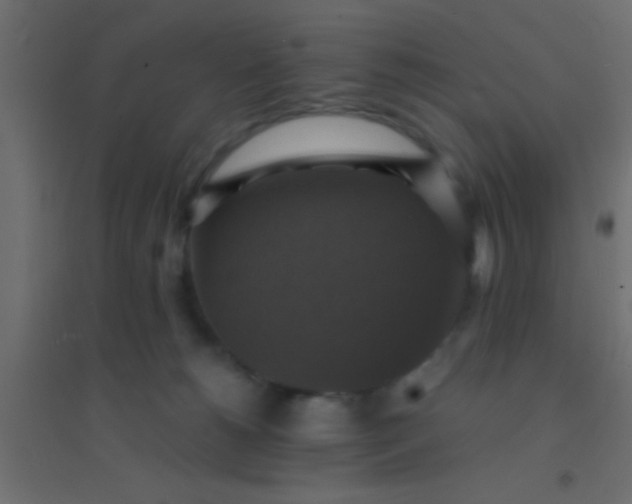 X0000094900180200712131438