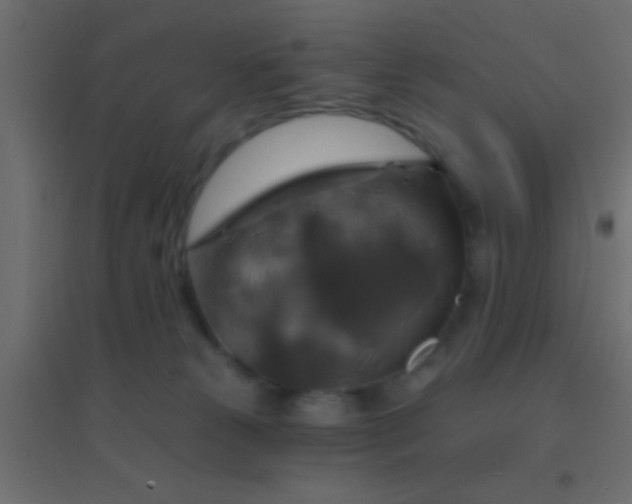 X0000094900181200712131438