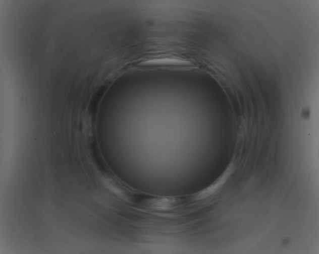 X0000094900182200712131438