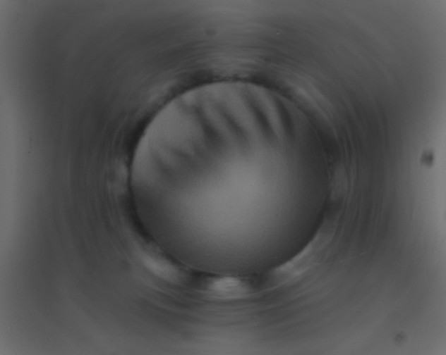X0000094900183200712131438