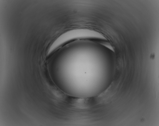 X0000094900184200712131438
