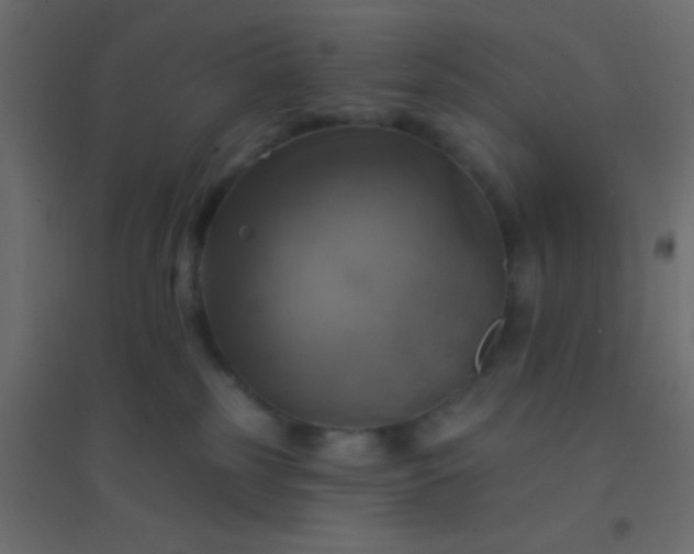 X0000094900185200712131438