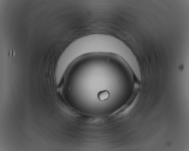 X0000094900186200712131438