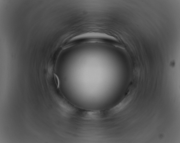 X0000094900188200712131439