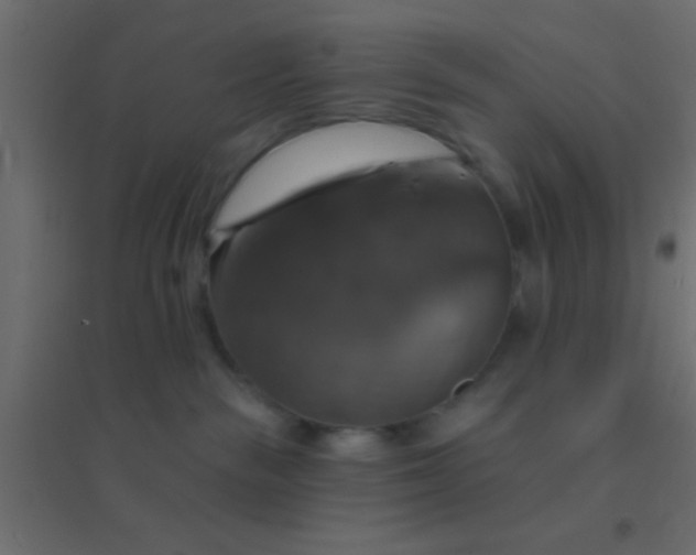 X0000094900189200712131439