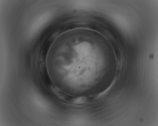 X0000094900191200712131439