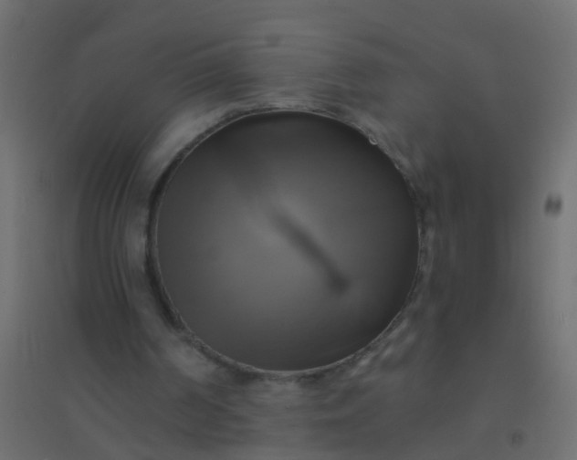 X0000094900194200712131438