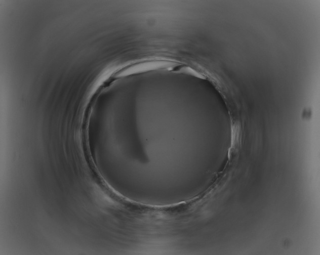 X0000094900195200712131438