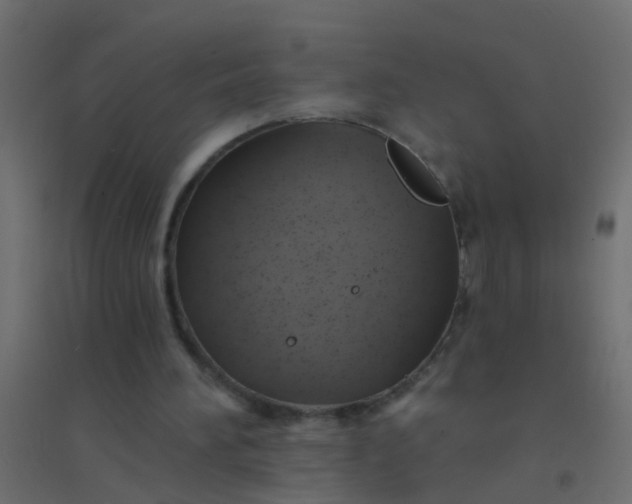 X0000094900196200712131438