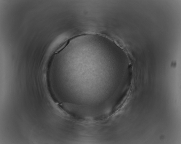 X0000094900197200712131438