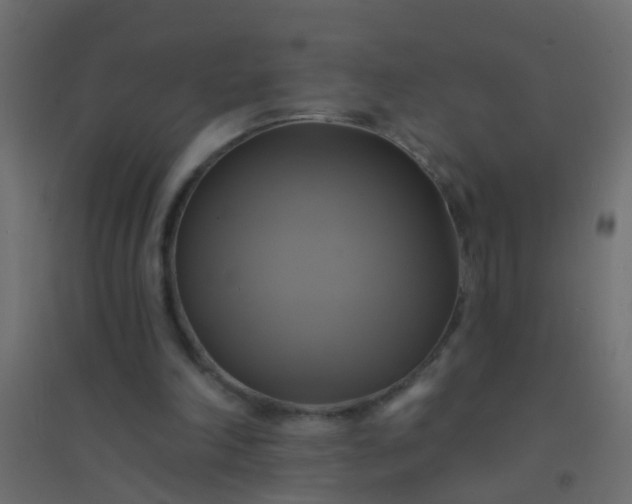 X0000094900198200712131438