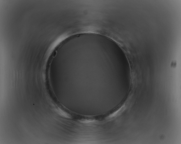 X0000094900200200712131438