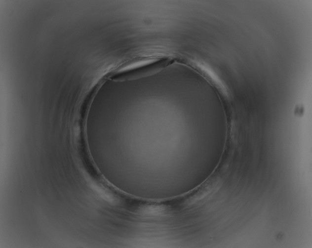 X0000094900202200712131438