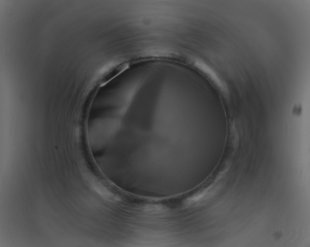 X0000094900203200712131438