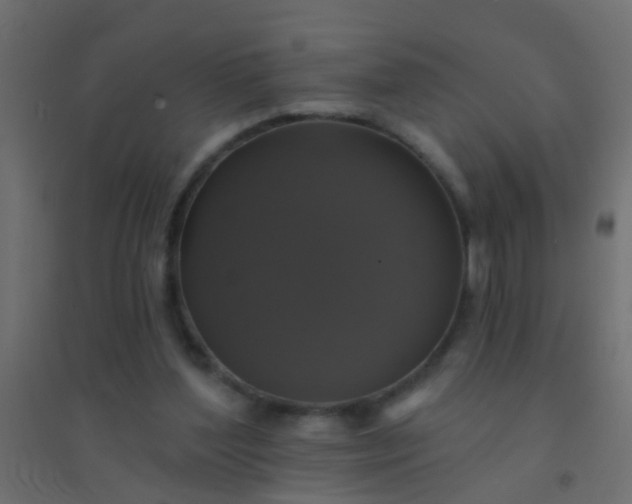 X0000094900204200712131438