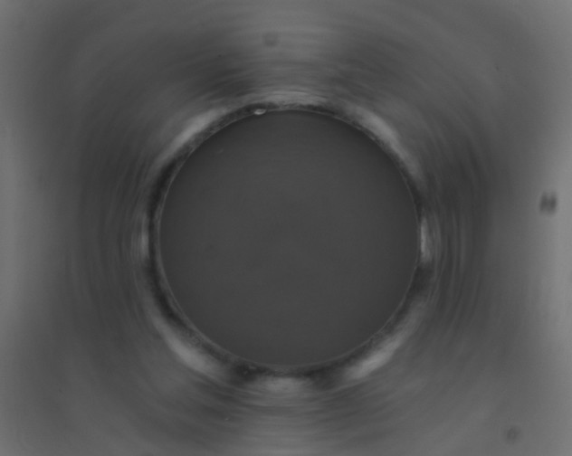 X0000094900205200712131438