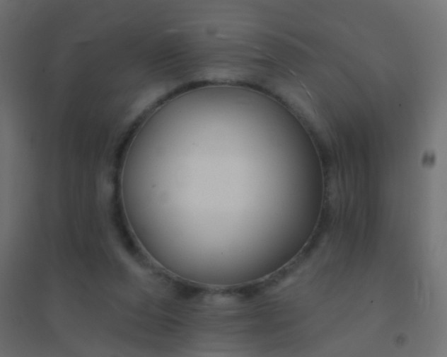 X0000094900208200712131438
