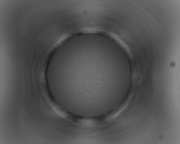 X0000094900209200712131438