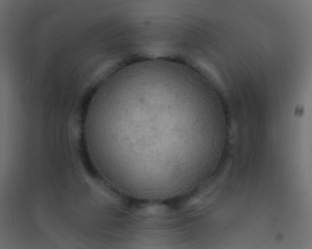 X0000094900210200712131438