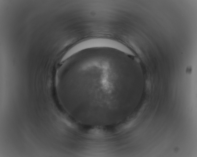 X0000094900211200712131438