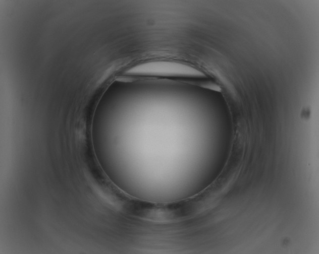 X0000094900212200712131438