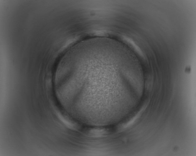 X0000094900213200712131438